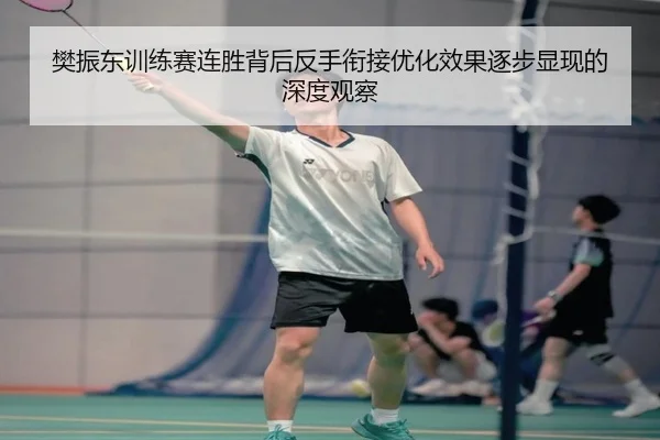 樊振东训练赛连胜背后反手衔接优化效果逐步显现的深度观察